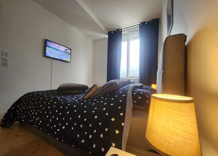 Nb Arrows Appartement De Standing En Hyper Centre